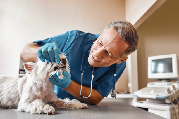 Best Emergency Dentist for Special Needs Patients in Lipscom, AL