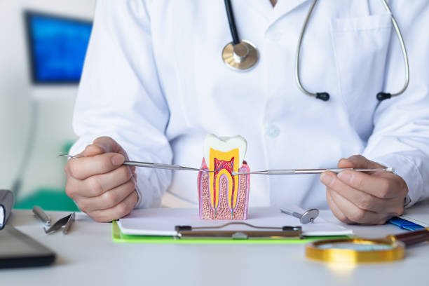Best Orthodontic Emergency Dentist in Lipscom, AL